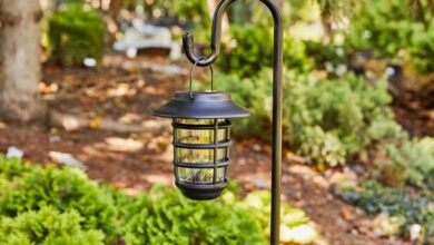 shine-bright:-enhance-your-space-with-solar-outdoor-lighting
