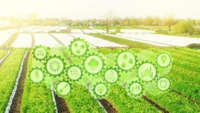top-agtech-trends-and-solutions-revolutionizing-agriculture